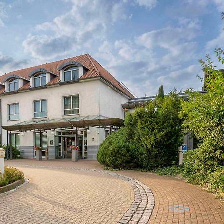 Best Western Hotel Heidehof Hermannsburg Ngoại thất bức ảnh